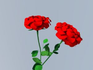 玫瑰花植物花SU模型