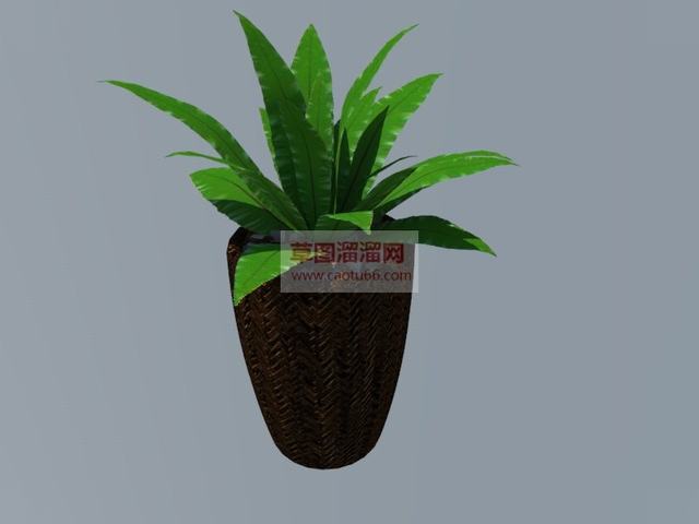 花盆植物盆栽SU模型