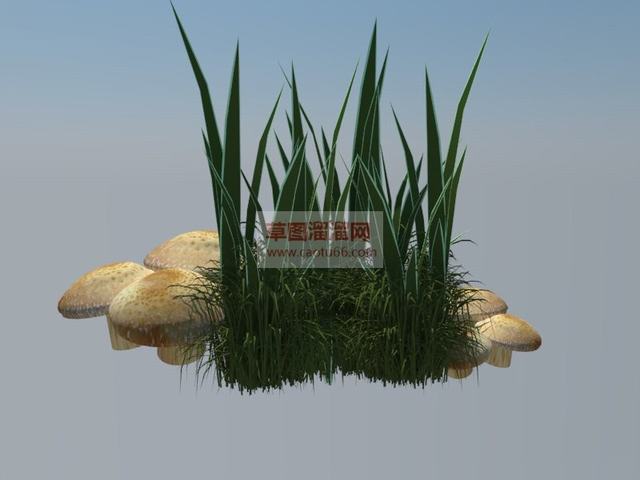 小蘑菇小草SU模型