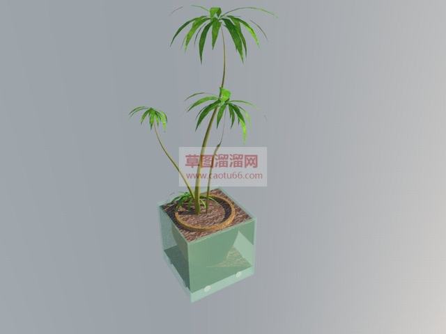 花盆植物SU模型