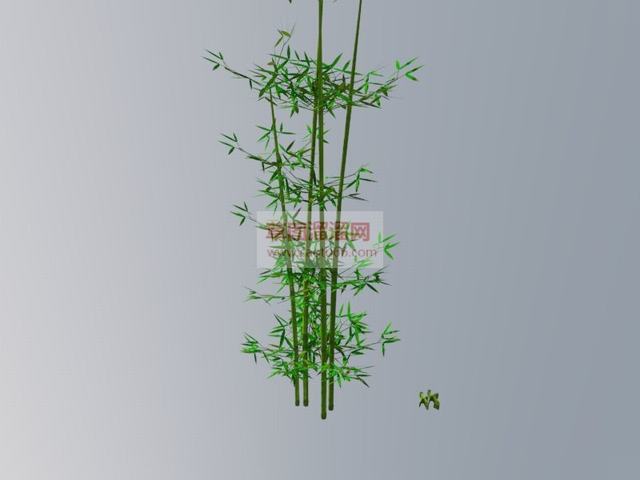 竹子竹叶SU模型