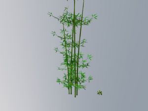 竹子竹叶SU模型
