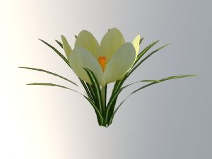小黄花花朵植物SU模型