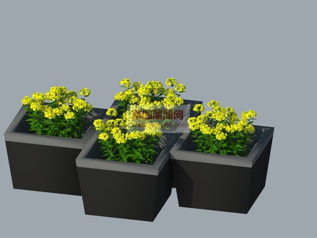 花草植物SU模型