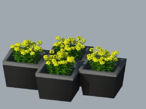 花草植物SU模型