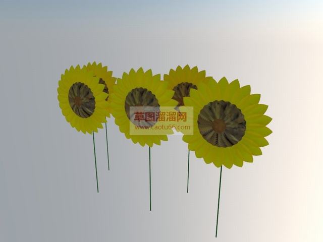 向日葵太阳花植物SU模型