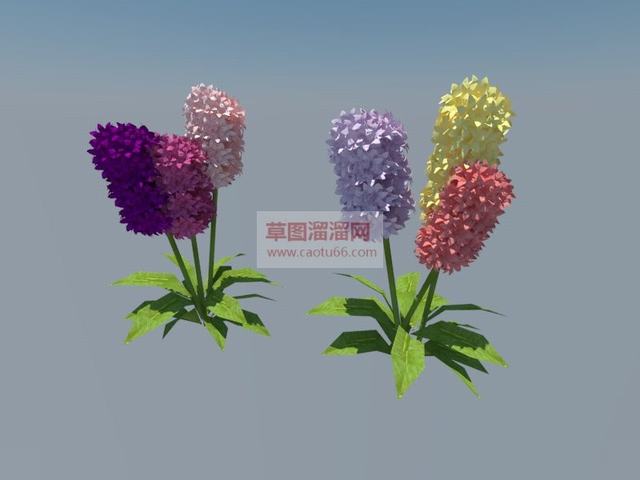 风信子草本球根类植物SU模型