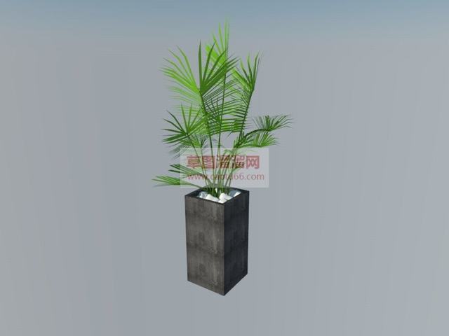 室内摆放花盆SU模型