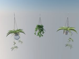墙上植物吊篮SU模型