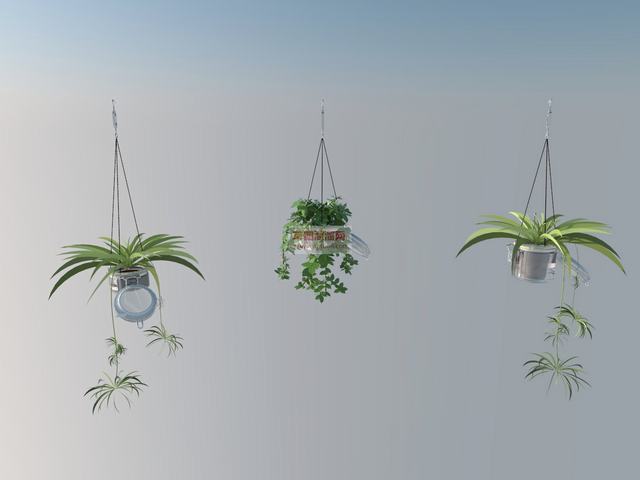 墙上植物吊篮SU模型