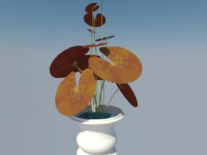 植物花盆园艺植物SU模型
