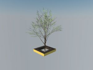 树叶树池植物SU模型