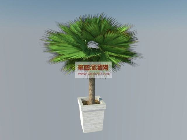 花盆盆栽小树SU模型