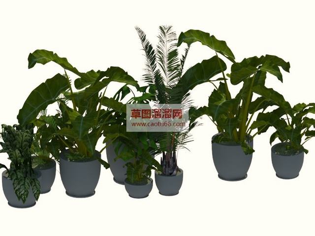 盆景植物花盆SU模型