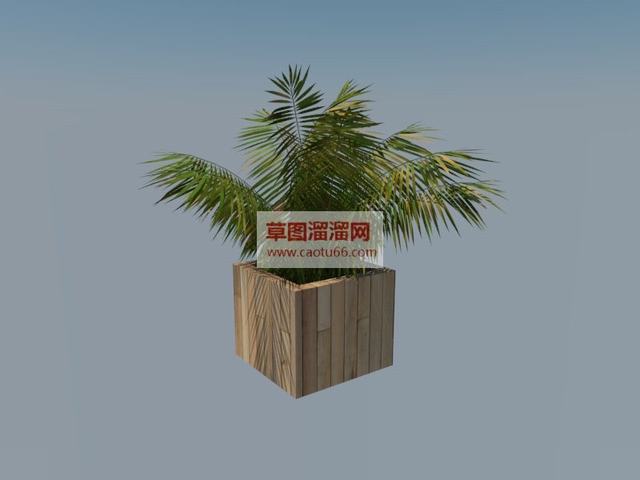 景观植物盆栽盆景SU模型