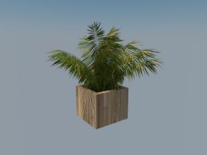 景观植物盆栽盆景SU模型