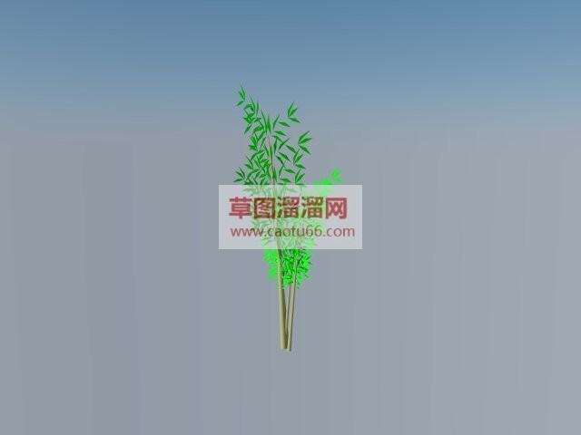 SU绿化植物竹子SU模型