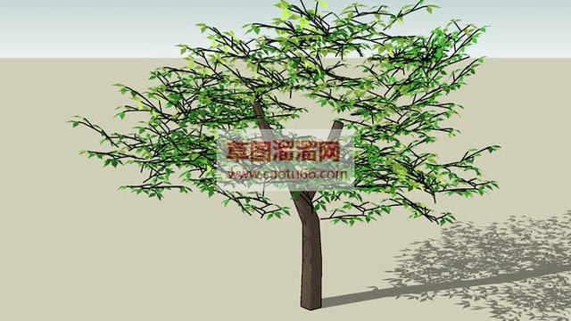 丛林木材SU模型