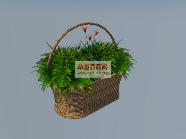 篮子花盆绿色植物SU模型