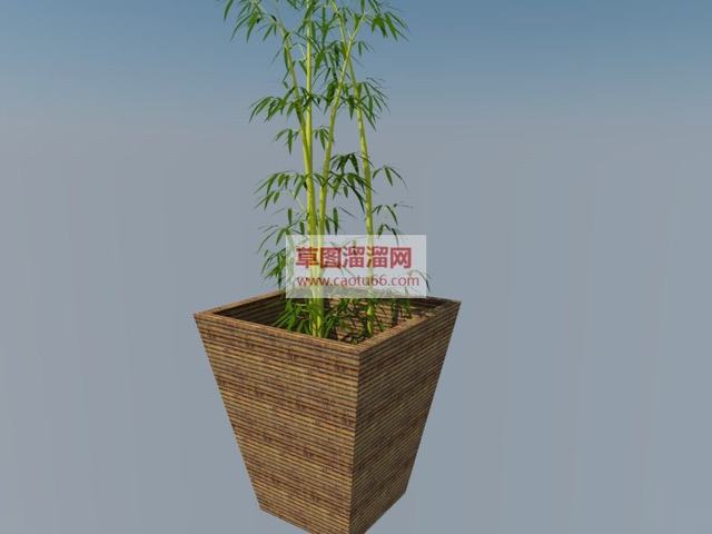 花盆盆栽竹子SU模型