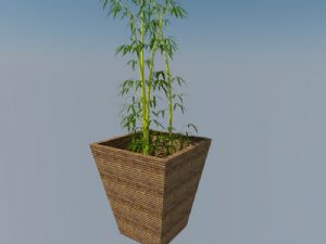花盆盆栽竹子SU模型 免费sketchup模型下载