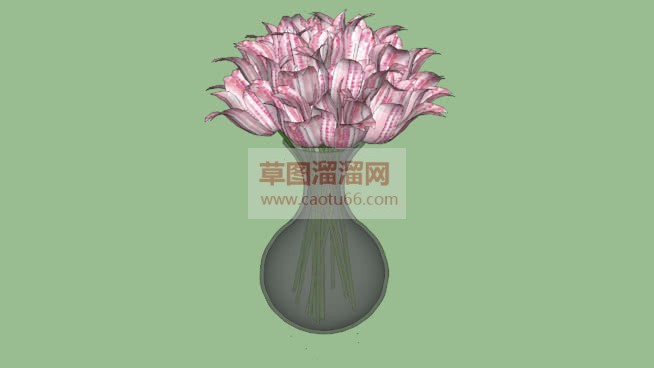 花盆杨花SU模型