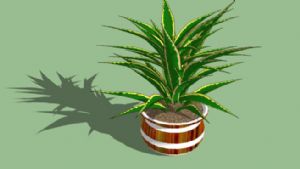 灌木植物盆栽SU模型