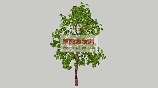 绿色树风景树树木SU模型