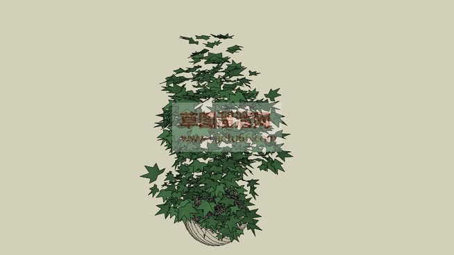 怎么放置植物SU模型