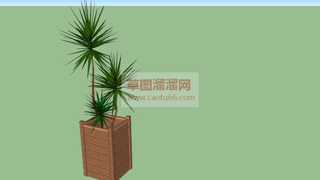 小小植物木花SU模型