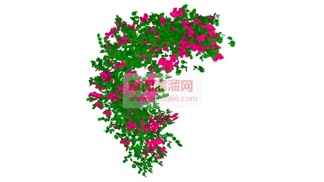 蔓藤植物+爬SU模型
