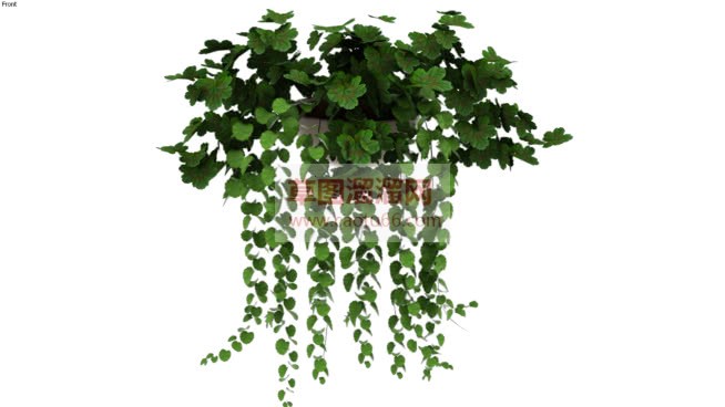 花盆吊篮植物SU模型