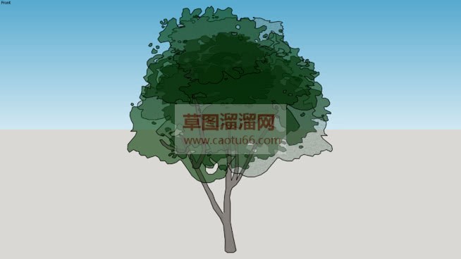 2D背景树SU模型