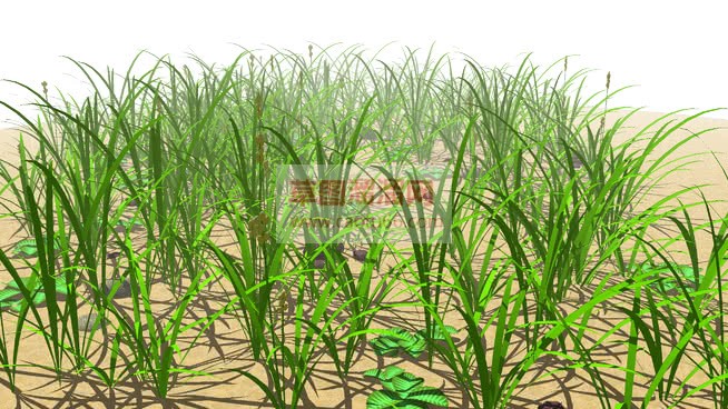 杂草+野草+SU模型