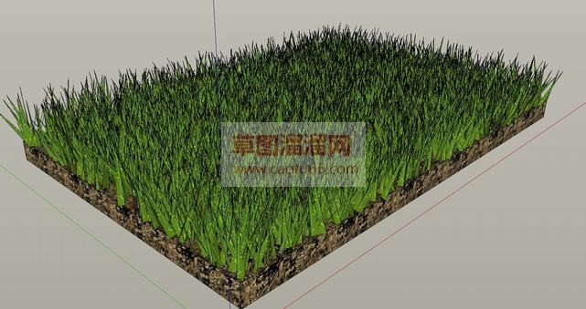 绿油油的小草SU模型