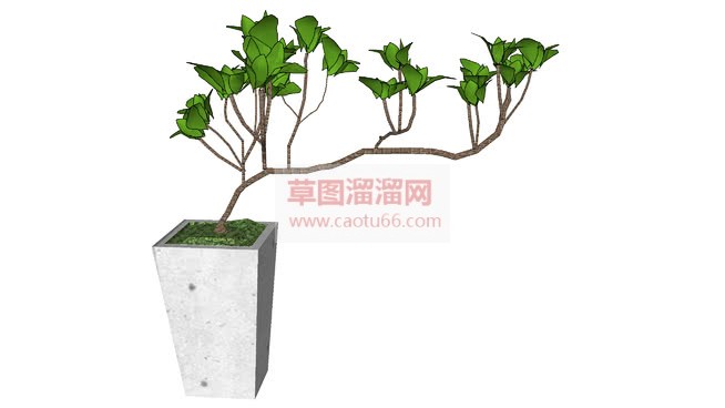 家居植栽花盆SU模型