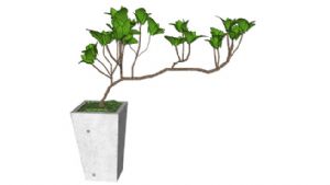 家居植栽花盆SU模型