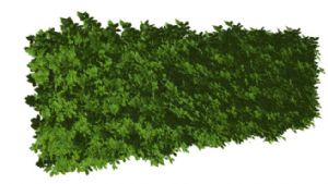 草图大师绿植SU模型
