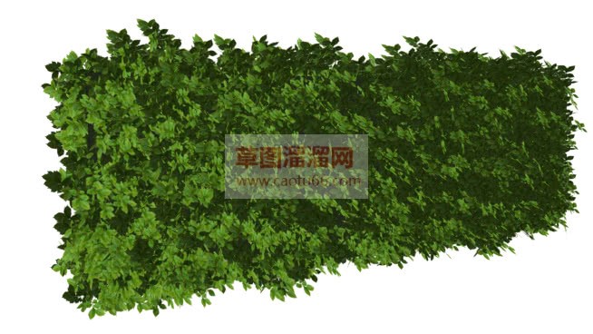 草图大师绿植SU模型