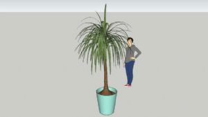 室内盆栽花盆SU模型
