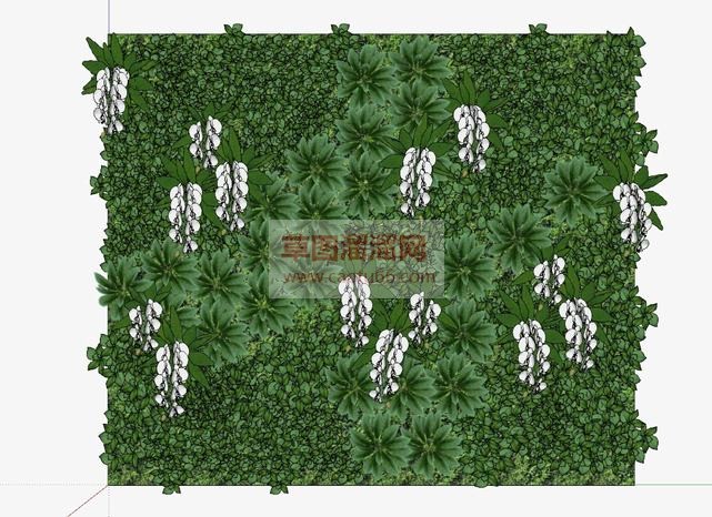 绿植墙景观植SU模型