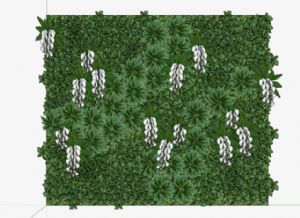 绿植墙景观植SU模型