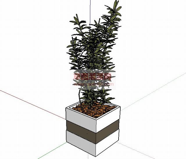 花盆盆景植物SU模型