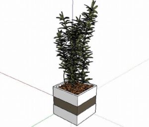 花盆盆景植物SU模型