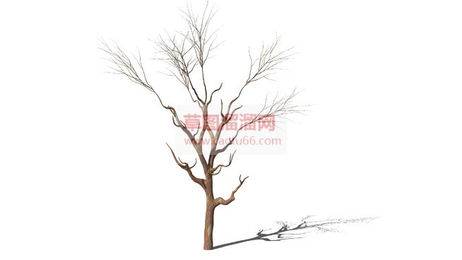 枯树枝树木草SU模型