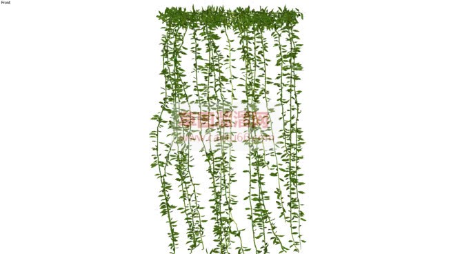 爬藤植物+爬SU模型