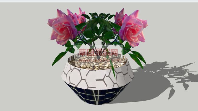 免费花盆植物SU模型