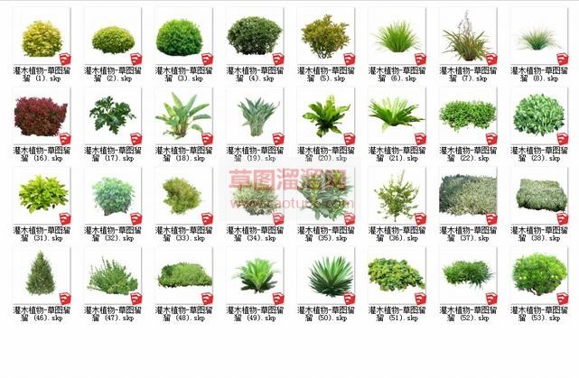 植物百度云资SU模型