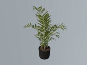 盆栽盆景植物SU模型