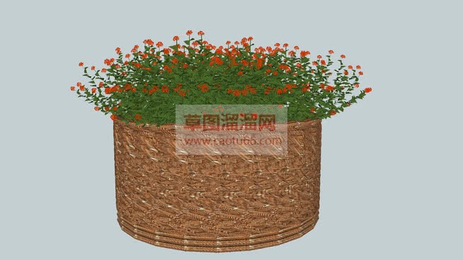 花筐植物免费SU模型